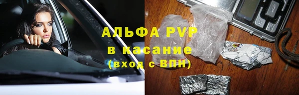 прущие грибы Алзамай