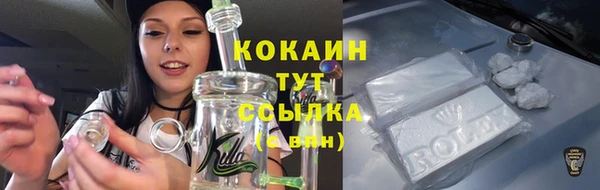 прущие грибы Алзамай