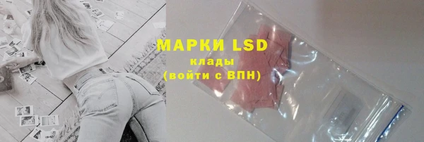 прущие грибы Алзамай