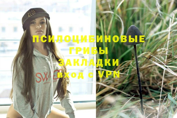 прущие грибы Алзамай