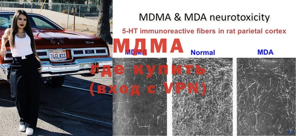 прущие грибы Алзамай