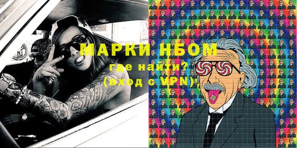прущие грибы Алзамай